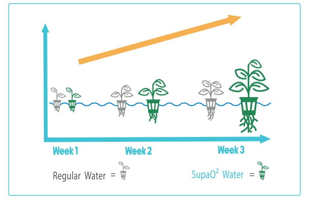 super-oxygenated water