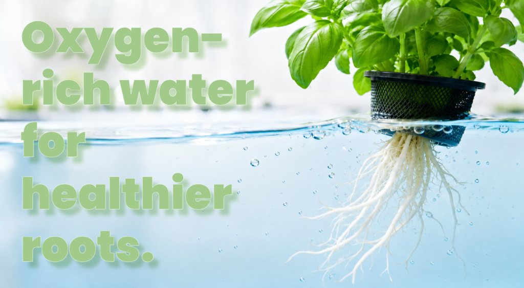 nanobubble irrigation